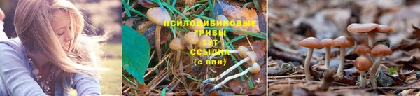 каннабис Алзамай