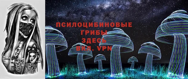 spice Алексин