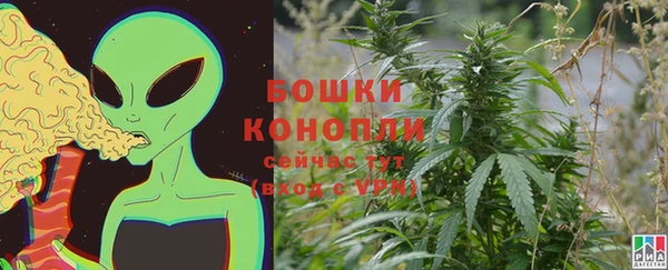 PSILOCYBIN Абдулино