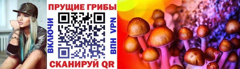 Псилоцибиновые грибы мицелий  МЕГА зеркало  Абаза  купить  